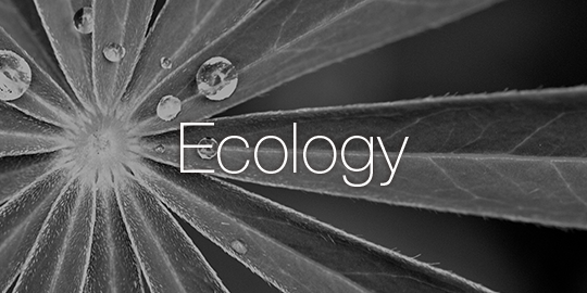 Ecology